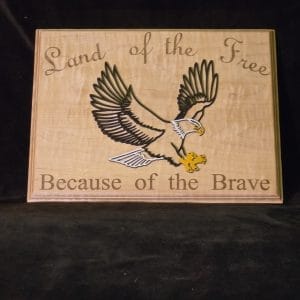 Patriotic Land of the Free Art